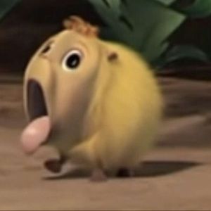 Meet your Posher, Stefani